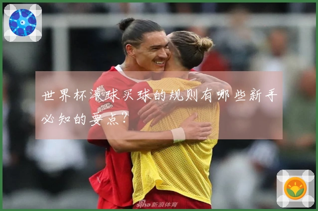世界杯滚球买球的规则有哪些新手必知的要点？