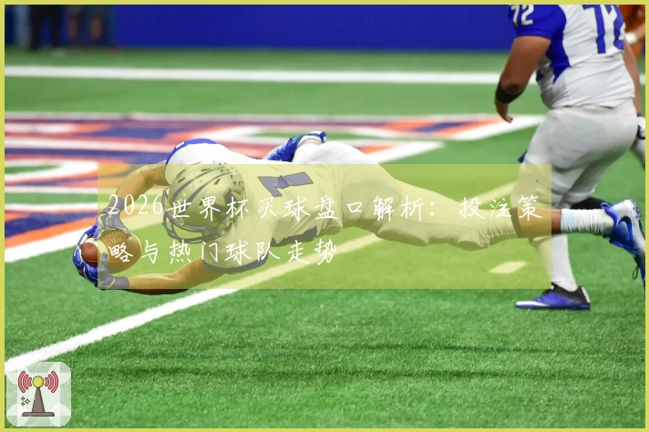2026世界杯买球盘口解析：投注策略与热门球队走势