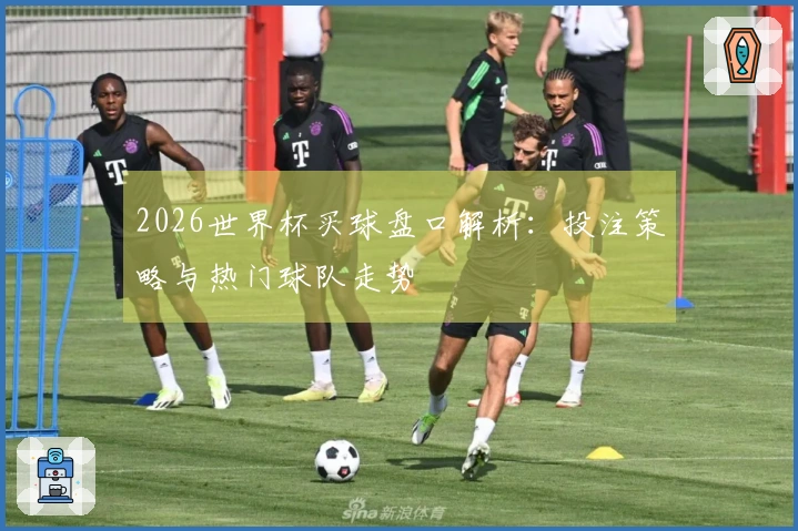 2026世界杯买球盘口解析：投注策略与热门球队走势