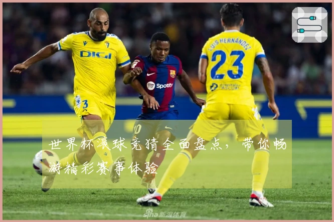 世界杯滚球竞猜全面盘点，带你畅游精彩赛事体验