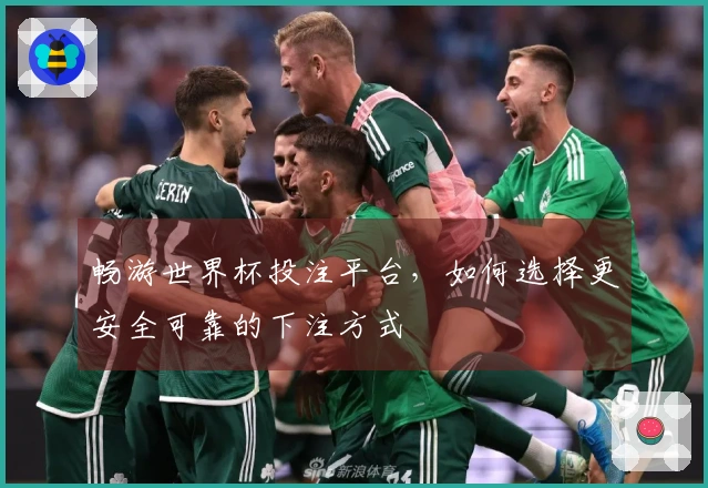 畅游世界杯投注平台，如何选择更安全可靠的下注方式